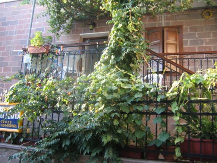 מית'ימנה Μαχη Ενοικιαζόμενα Δωμάτια מראה חיצוני תמונה